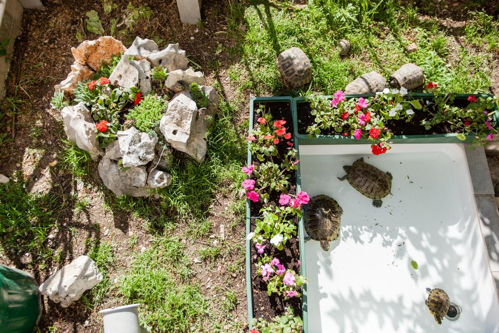 Apartments Ivica Split Luaran gambar